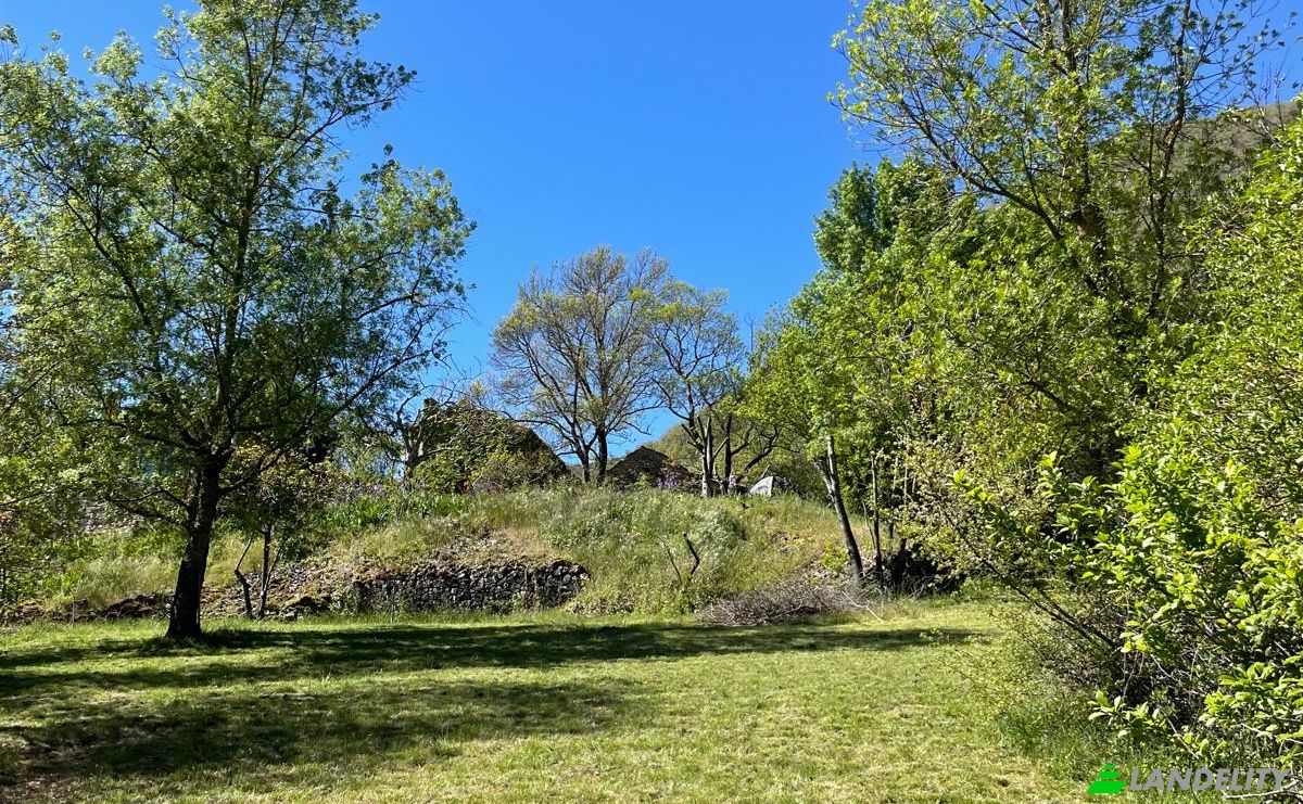 Investissement/Développement à vendre 5 Chem des Bergeries, 34650 Joncels, Joncels, Hérault, Occitanie, France. Photo 11
