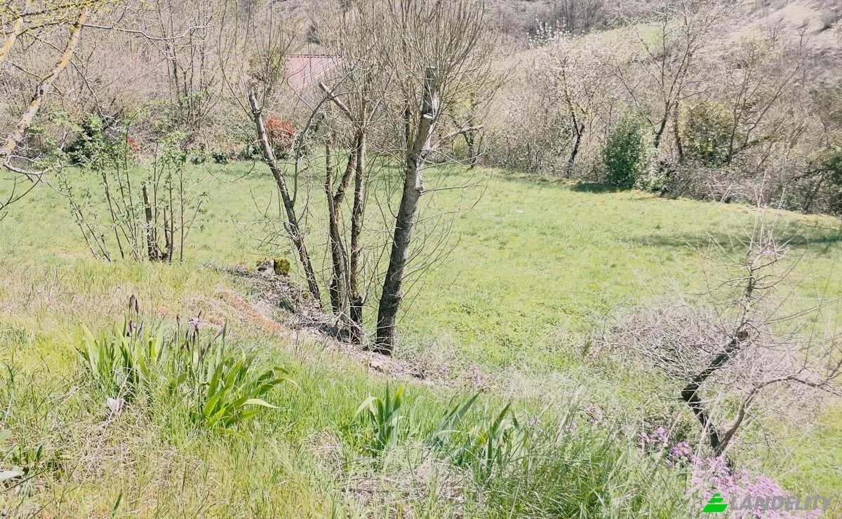 Investissement/Développement à vendre 5 Chem des Bergeries, 34650 Joncels, Joncels, Hérault, Occitanie, France. Photo 5