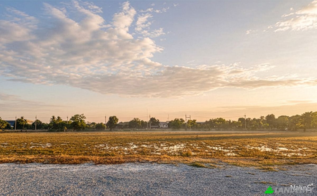 Investing/Development for Sale Maha Sawat, Phutthamonthon District, Nakhon Pathom 73210, Bang Toei, Sam Phran District, Nakhon Pathom, Thailand. Photo 2