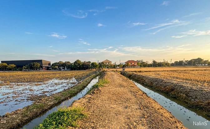 Investing/Development for Sale Maha Sawat. Photo#4 Investing/Development for Sale Maha Sawat. Photo#4