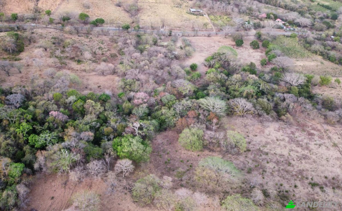 Investing/Development for Sale NIC-62, El Giganton, Tola, Rivas, Nicaragua. Photo 3