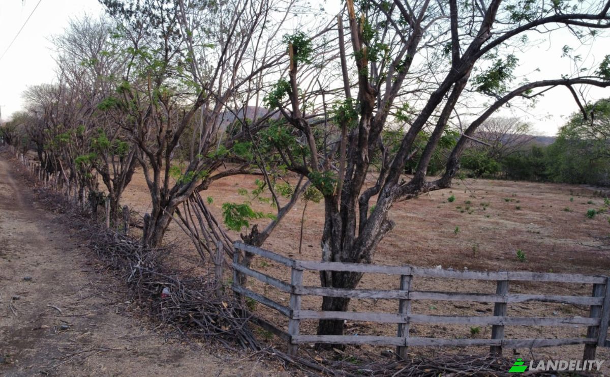 Investing/Development for Sale NIC-62, El Giganton, Tola, Rivas, Nicaragua. Photo 8
