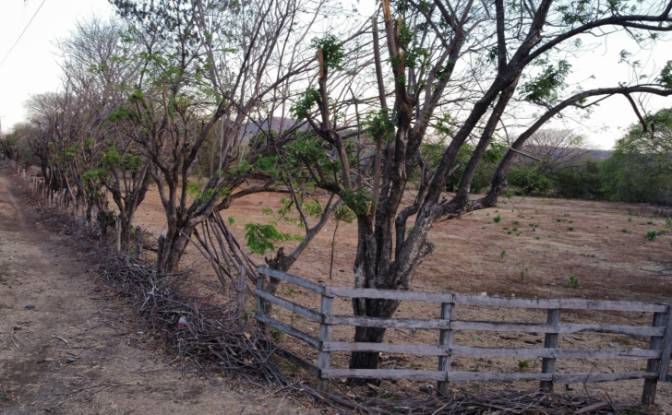 Investing/Development for Sale NIC-62, El Giganton. Photo#8 Investing/Development for Sale NIC-62, El Giganton. Photo#8
