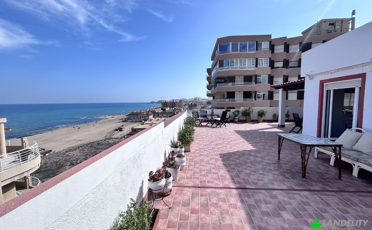 Departamento en venta Calle Mayor, La Mata, Alicante, Comunidad Valenciana, España. Foto 3