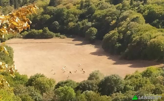 Ziemia/działka na sprzedaż - Manglisi, Georgia