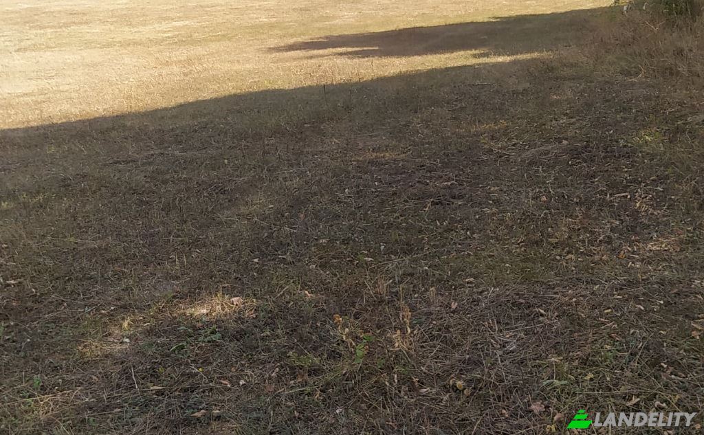 Land/Lot for Sale usaxelo gza, Manglisi, Kvemo Kartli, Georgia. Photo 10