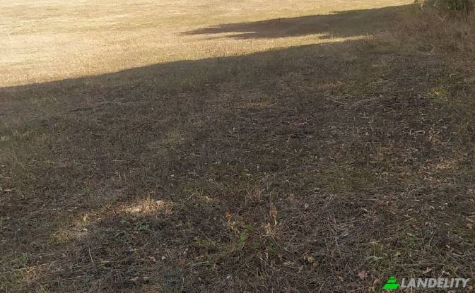 Land/Lot for Sale usaxelo gza, Manglisi. Photo#10 Land/Lot for Sale usaxelo gza, Manglisi. Photo#10