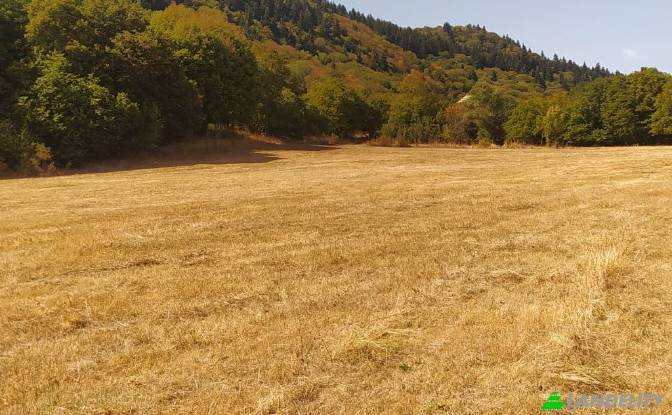 Land/Lot for Sale usaxelo gza, Manglisi. Photo#3 Land/Lot for Sale usaxelo gza, Manglisi. Photo#3