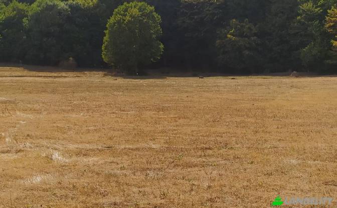 Land/Lot for Sale usaxelo gza, Manglisi. Photo#4 Land/Lot for Sale usaxelo gza, Manglisi. Photo#4