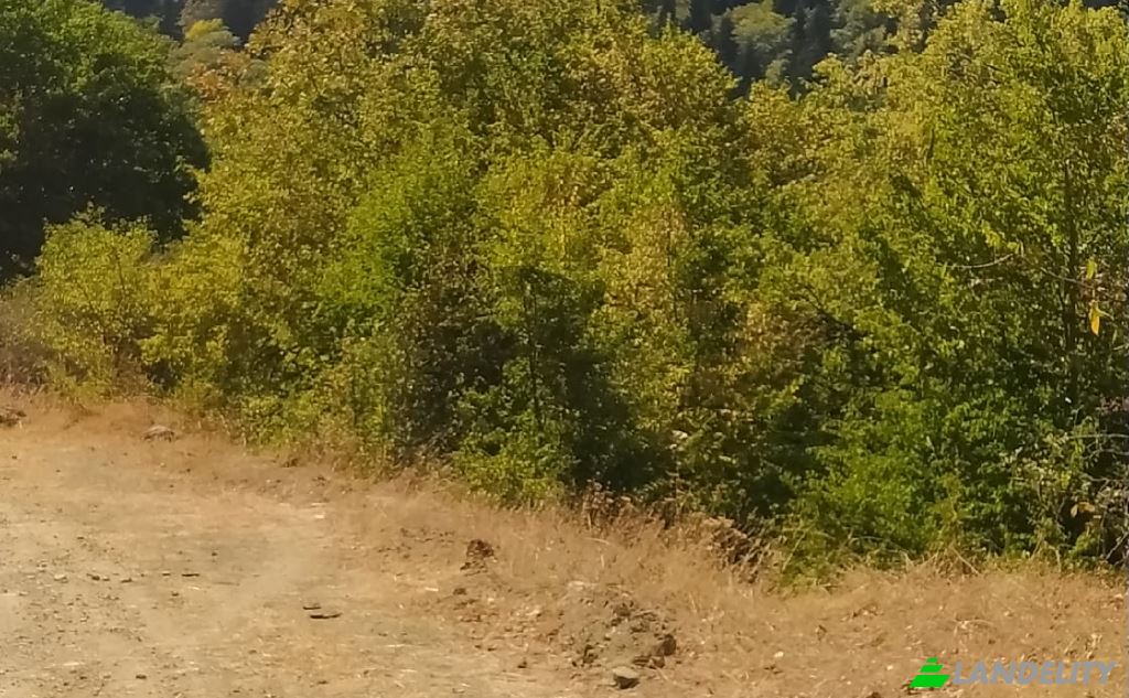 Land/Lot for Sale usaxelo gza, Manglisi, Kvemo Kartli, Georgia. Photo 7