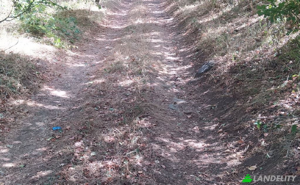 Land/Lot for Sale usaxelo gza, Manglisi, Kvemo Kartli, Georgia. Photo 9