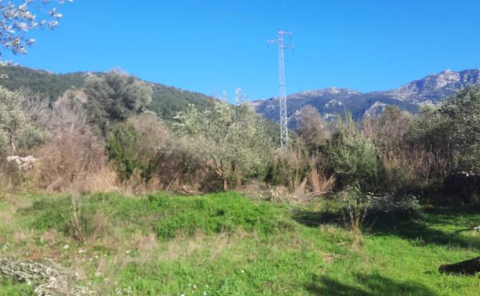 Île à vendre Incirkoy, ova kume evleri no 35 2. Photo#11