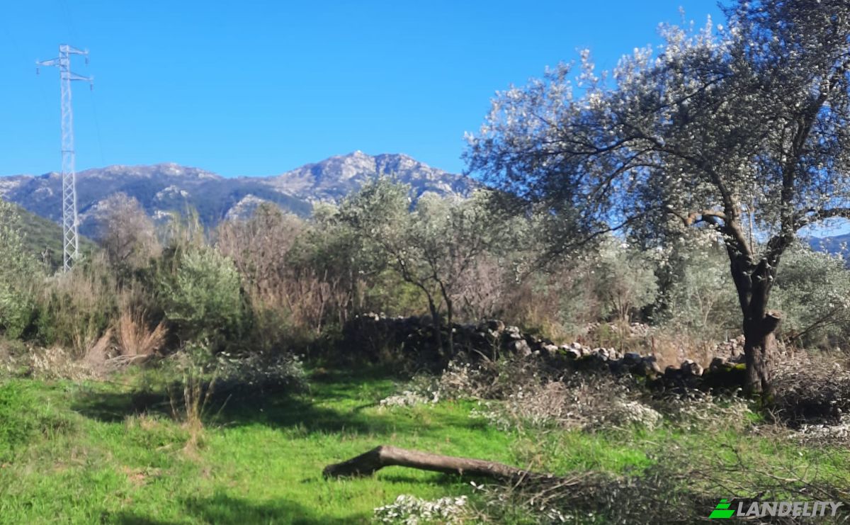 Île à vendre Incirkoy, ova kume evleri no 35 2, 48300 Fethiye Mugla, Fethiye Mugla, Fethiye, Mugla, Turkiye. Photo 12
