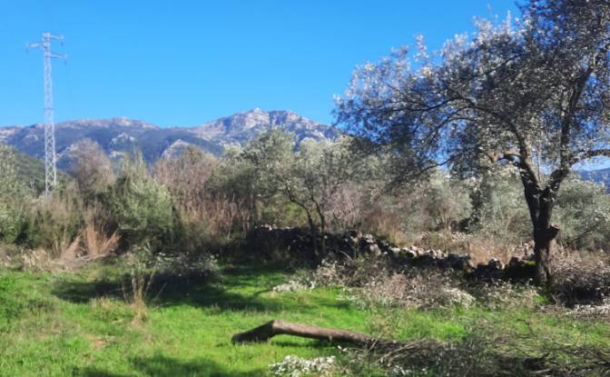 Île à vendre Incirkoy, ova kume evleri no 35 2. Photo#12