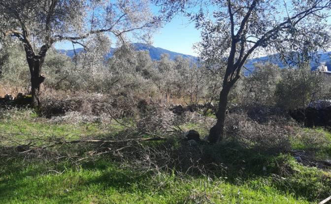 Île à vendre Incirkoy, ova kume evleri no 35 2. Photo#13