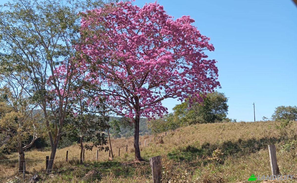 Fattoria/Ranch in vendita Uruacu, State of Goias, Brazil, 76400-000. Foto 1