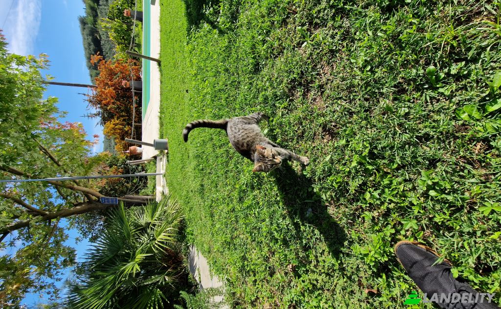 Apartment for Sale Via di Rosano, 50012 Bagno a Ripoli FI, Bagno a Ripoli, Metropolitan City of Florence, Tuscany, Italy. Photo 16