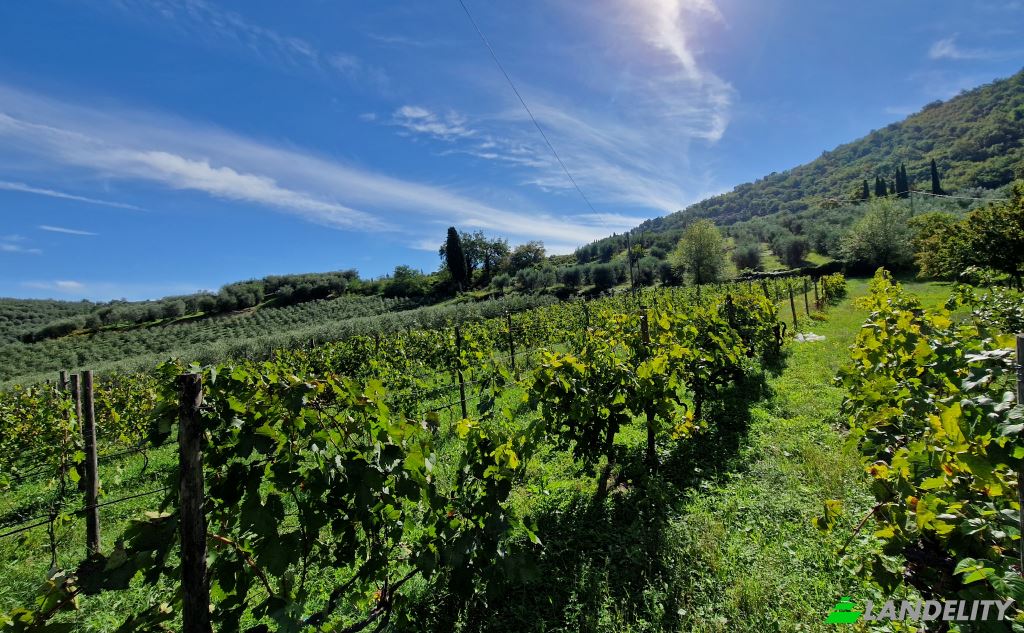 Apartment for Sale Via di Rosano, 50012 Bagno a Ripoli FI, Bagno a Ripoli, Metropolitan City of Florence, Tuscany, Italy. Photo 19