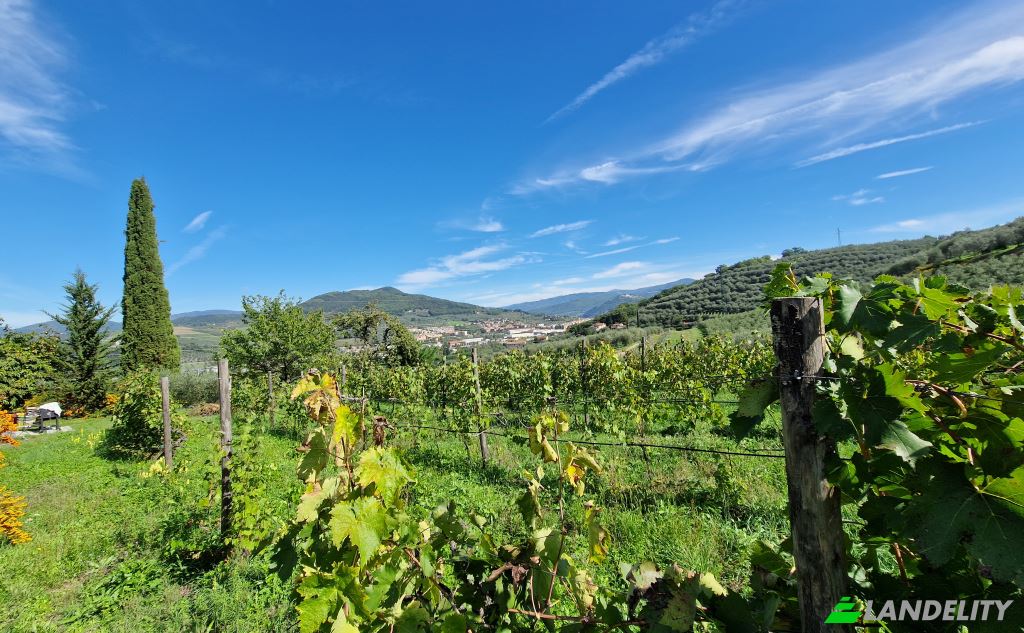 Apartment for Sale Via di Rosano, 50012 Bagno a Ripoli FI, Bagno a Ripoli, Metropolitan City of Florence, Tuscany, Italy. Photo 20