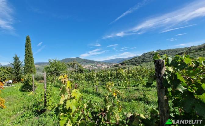 Apartment for Sale Via di Rosano. Photo#20