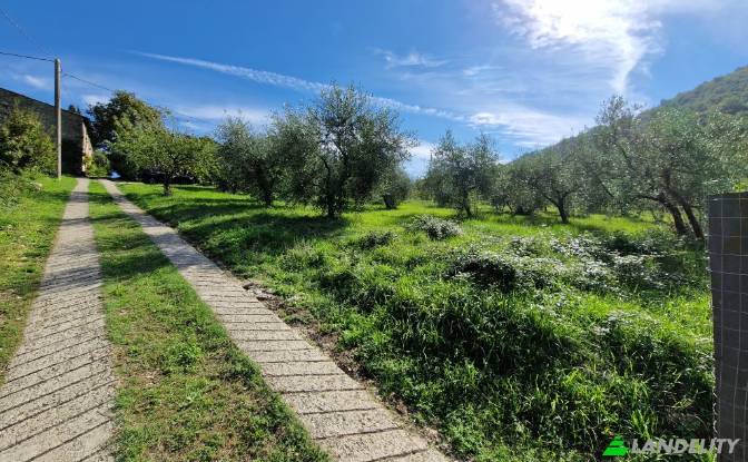 Apartment for Sale Via di Rosano. Photo#25