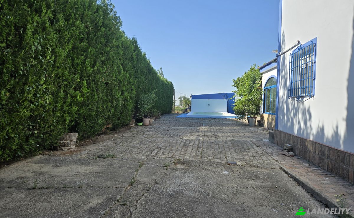 Villa en venta C Miguel Delibes, Bollullos de la Mitación, Sevilla, Andalucía, España. Foto 20