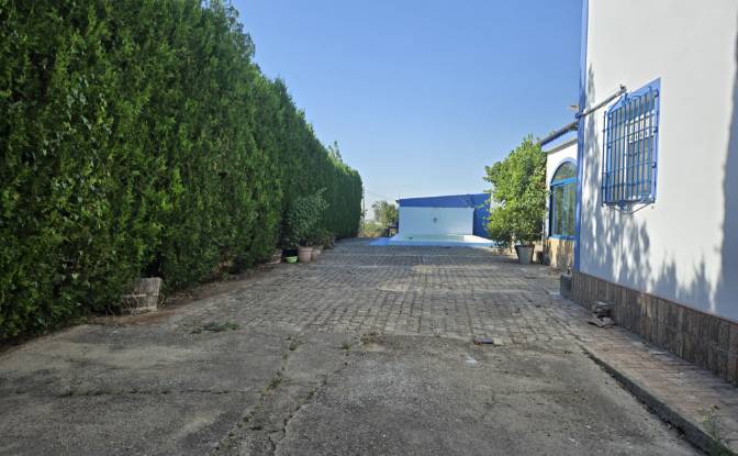 Villa en venta C Miguel Delibes. Foto#20