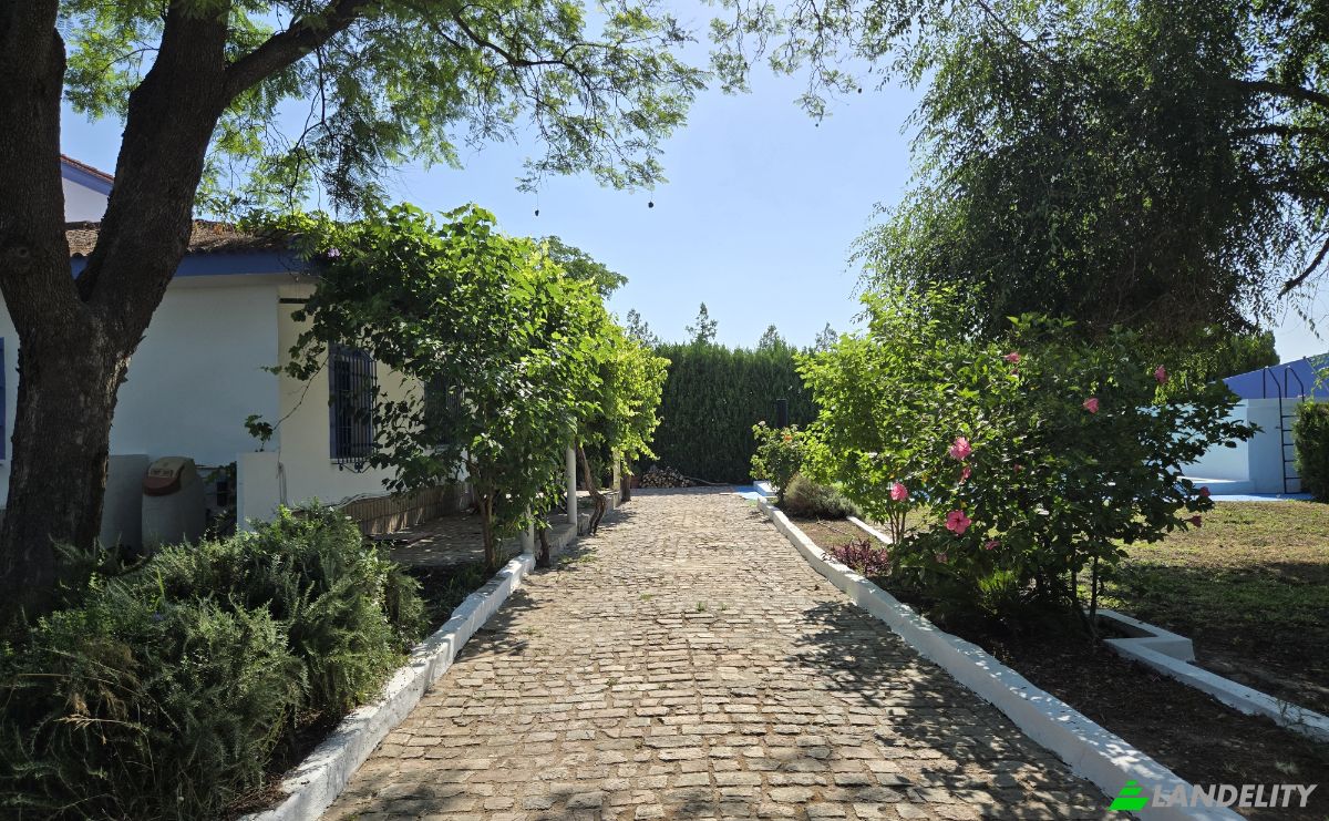 Villa en venta C Miguel Delibes, Bollullos de la Mitación, Sevilla, Andalucía, España. Foto 21