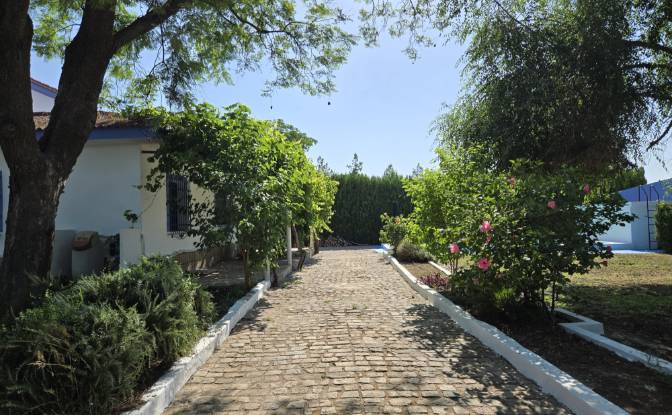 Villa en venta C Miguel Delibes. Foto#21