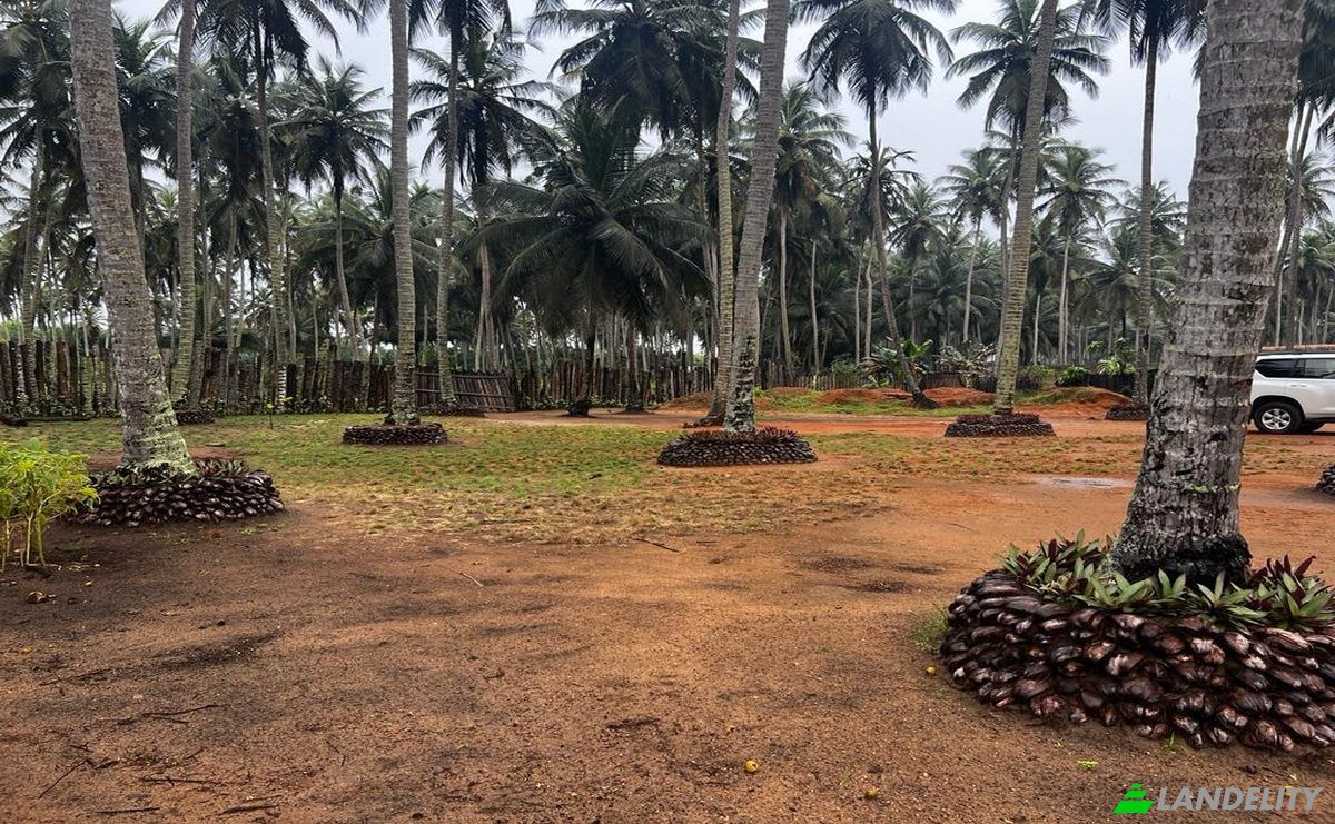 Investing/Development for Sale Asseoufoue, Sud-Comoe, Comoe District, Cote dIvoire. Photo 3