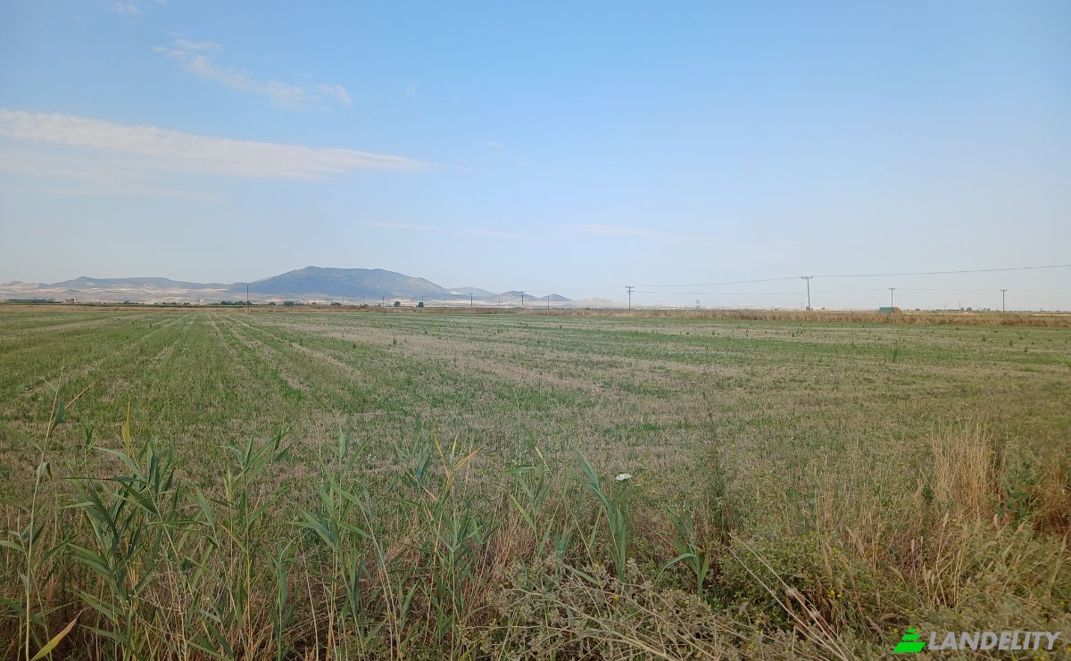 Grondperceel Te koop Kileler 415 00, Armenio, Thessalia, Decentralized Administration of Thessaly and Central Greece, Greece. Foto 8