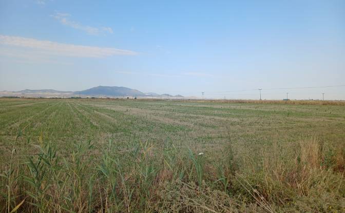 Grondperceel Te koop Kileler 415 00, Armenio. Foto#8