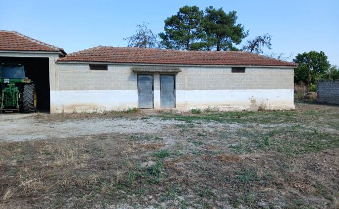 Farm/Ranch for Sale Sotirio 415 00, Sotirio. Photo#13 Farm/Ranch for Sale Sotirio 415 00, Sotirio. Photo#13