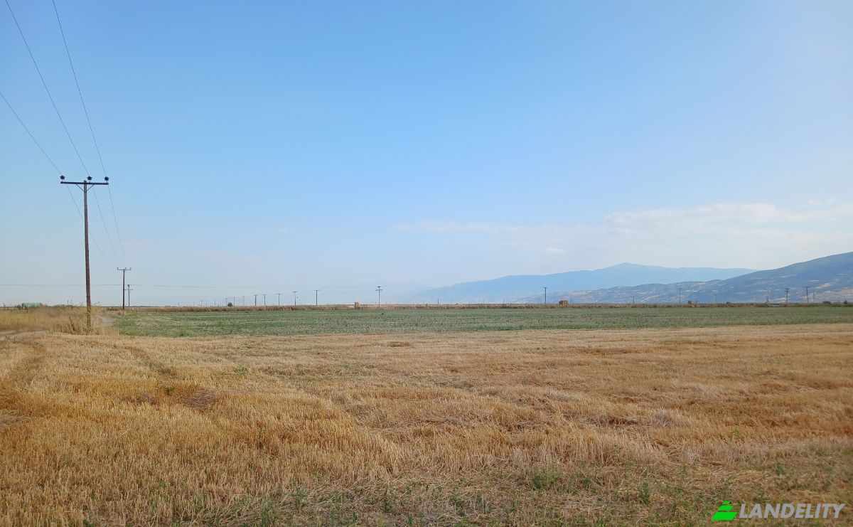Farm/Ranch for Sale Sotirio 415 00, Sotirio, Thessalia, Decentralized Administration of Thessaly and Central Greece, Greece. Photo 8