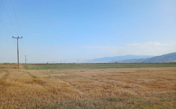Farm/Ranch for Sale Sotirio 415 00, Sotirio. Photo#8 Farm/Ranch for Sale Sotirio 415 00, Sotirio. Photo#8