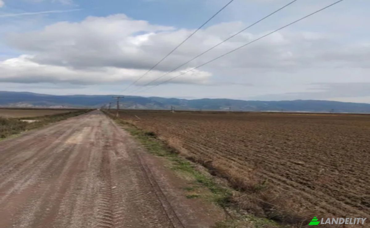 Boerderij/Ranch Te koop Sotirio 415 00, Sotirio, Thessalia, Decentralized Administration of Thessaly and Central Greece, Greece. Foto 6