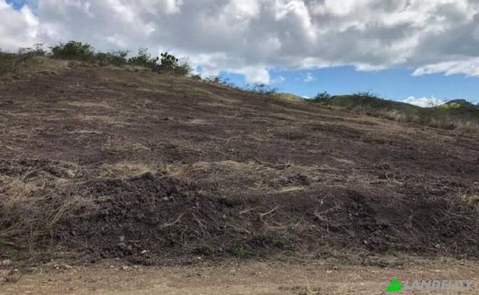 Land/Lot for Sale Saint Johns, Saint John. Photo#4 Land/Lot for Sale Saint Johns, Saint John. Photo#4