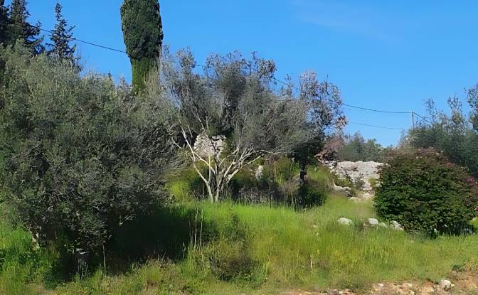 Lote de terreno en venta Otocka cesta 14, 23271. Foto#10