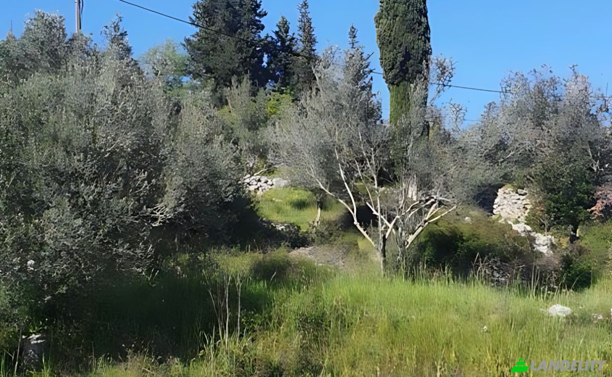 Lote de terreno en venta Otocka cesta 14, 23271, Banj, Pasman, Zadar County, Croatia. Foto 8