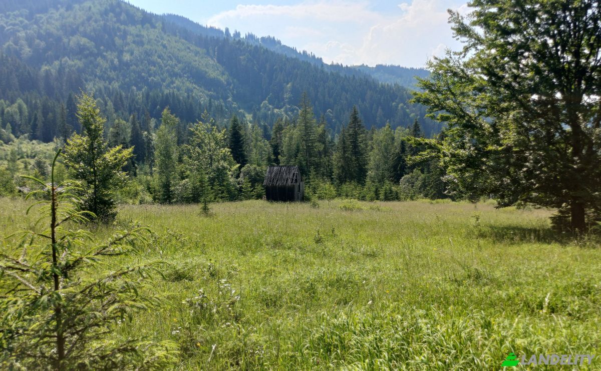 Grondperceel Te koop Str Valea Strajerului, Campulung Moldovenesc, Pojorata, Suceava County, Romania. Foto 1