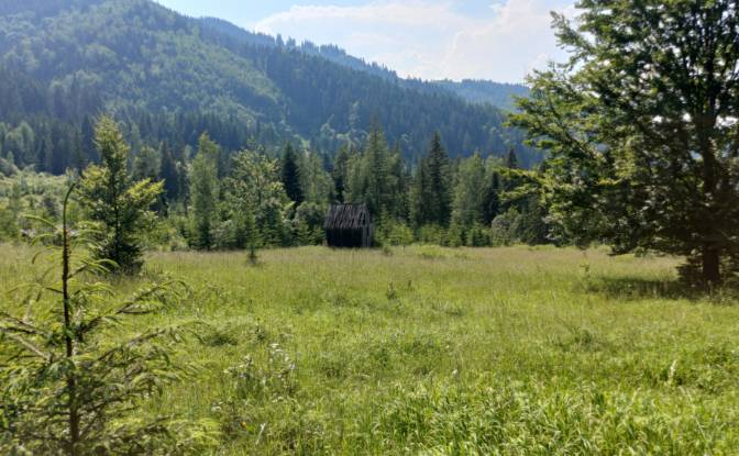 Земельна ділянка продаж - Campulung Moldovenesc, Romania