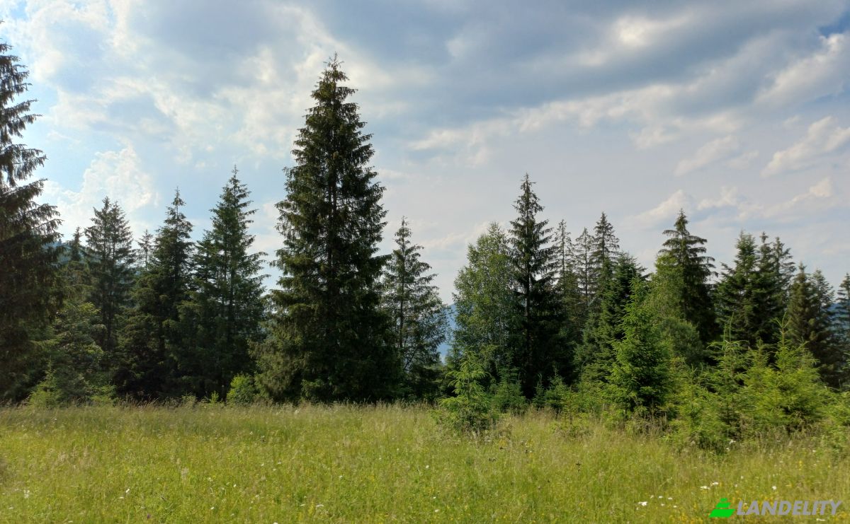 Grondperceel Te koop Str Valea Strajerului, Campulung Moldovenesc, Pojorata, Suceava County, Romania. Foto 9