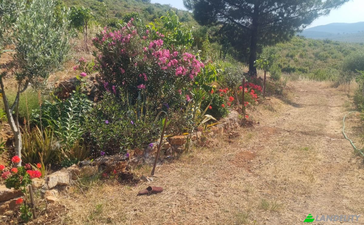 Lote de terreno en venta Mazikoy, 48440 Bodrum Mugla, Bodrum Mugla, Bodrum, Mugla, Turkiye. Foto 12