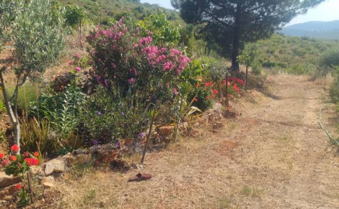 Lote de terreno en venta Mazikoy. Foto#12