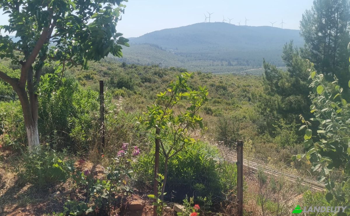 Lote de terreno en venta Mazikoy, 48440 Bodrum Mugla, Bodrum Mugla, Bodrum, Mugla, Turkiye. Foto 14