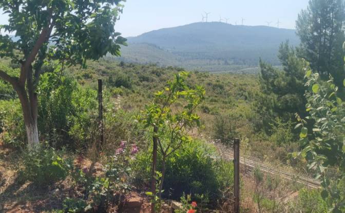 Lote de terreno en venta Mazikoy. Foto#14