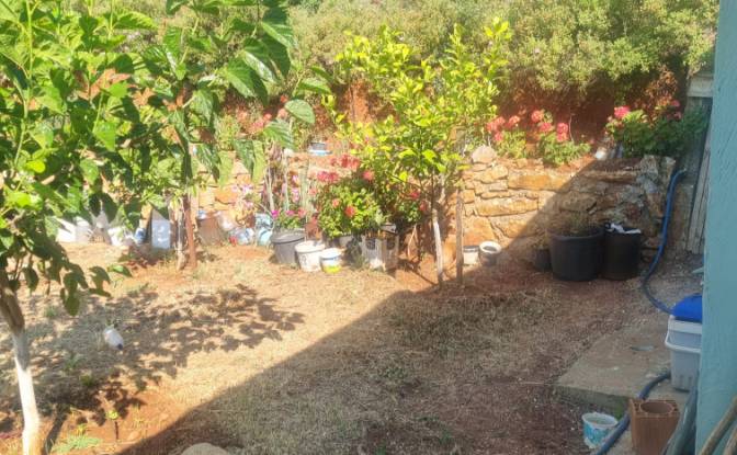 Lote de terreno en venta Mazikoy. Foto#15
