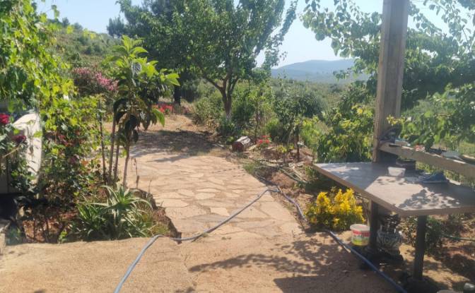 Lote de terreno en venta Mazikoy. Foto#16