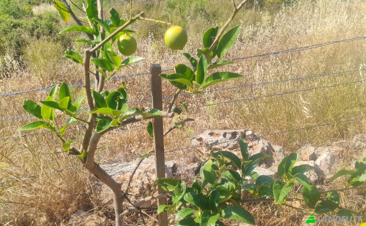 Lote de terreno en venta Mazikoy, 48440 Bodrum Mugla, Bodrum Mugla, Bodrum, Mugla, Turkiye. Foto 17