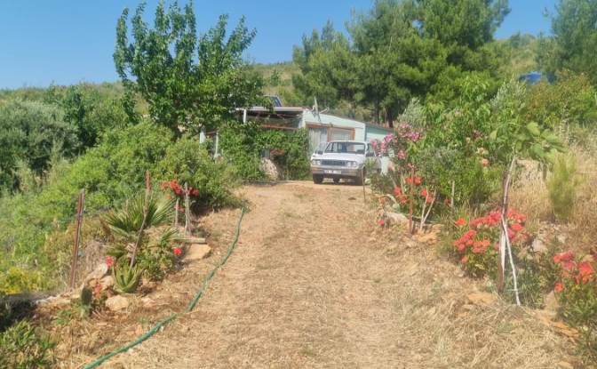 Lote de terreno en venta Mazikoy. Foto#2